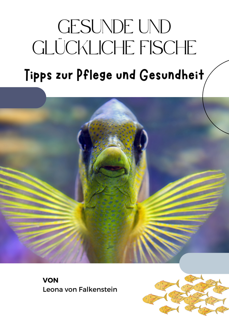 Gesunde und glückliche Fische