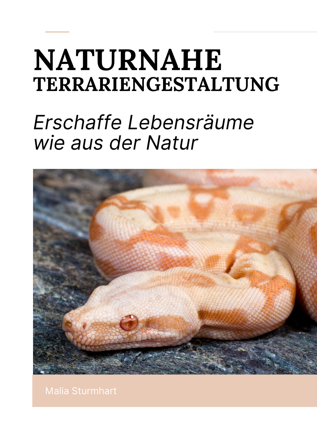 Naturnahe Terrariengestaltung