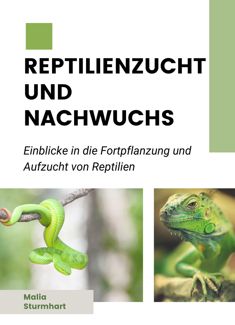 Reptilienzucht und Nachwuchs