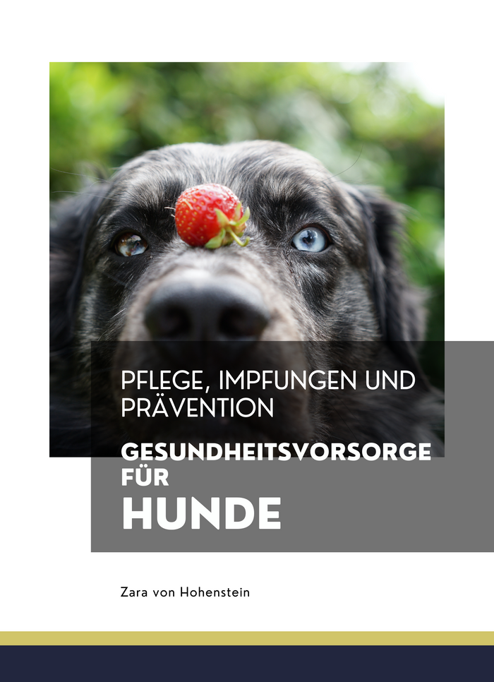 Gesundheitsvorsorge für Hunde