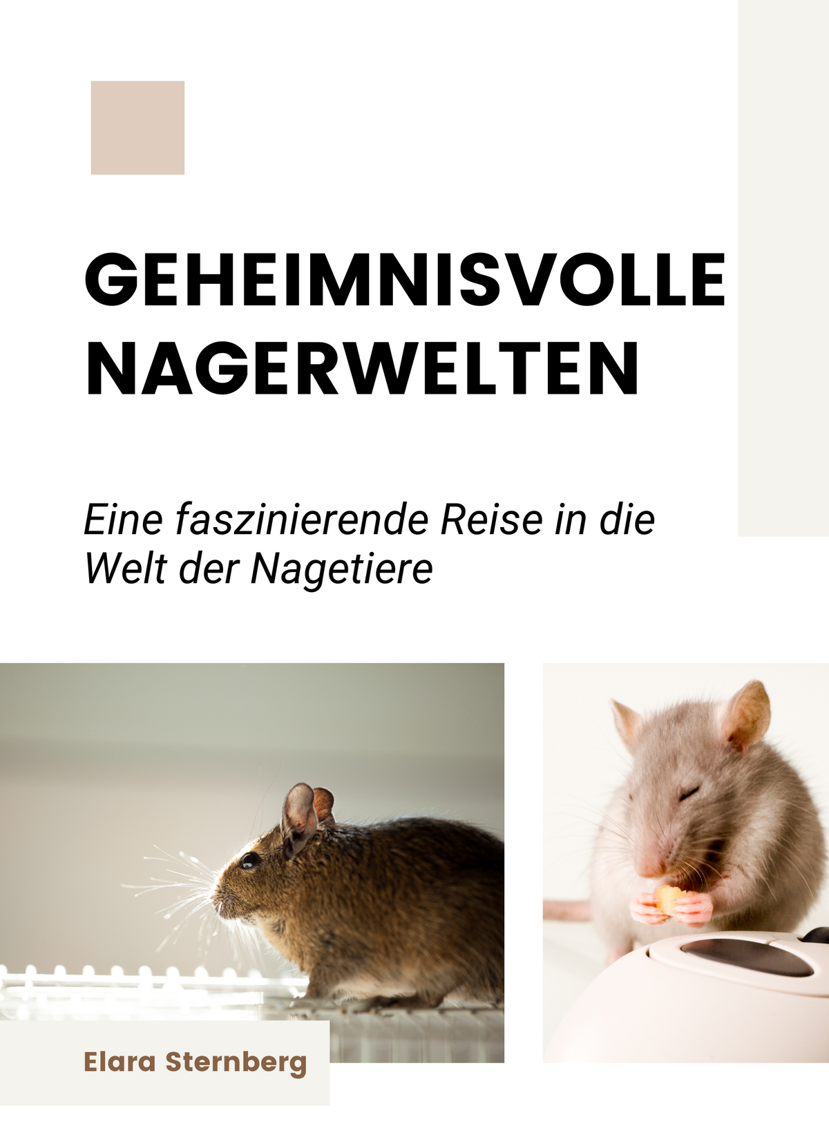 Geheimnisvolle Nagerwelten