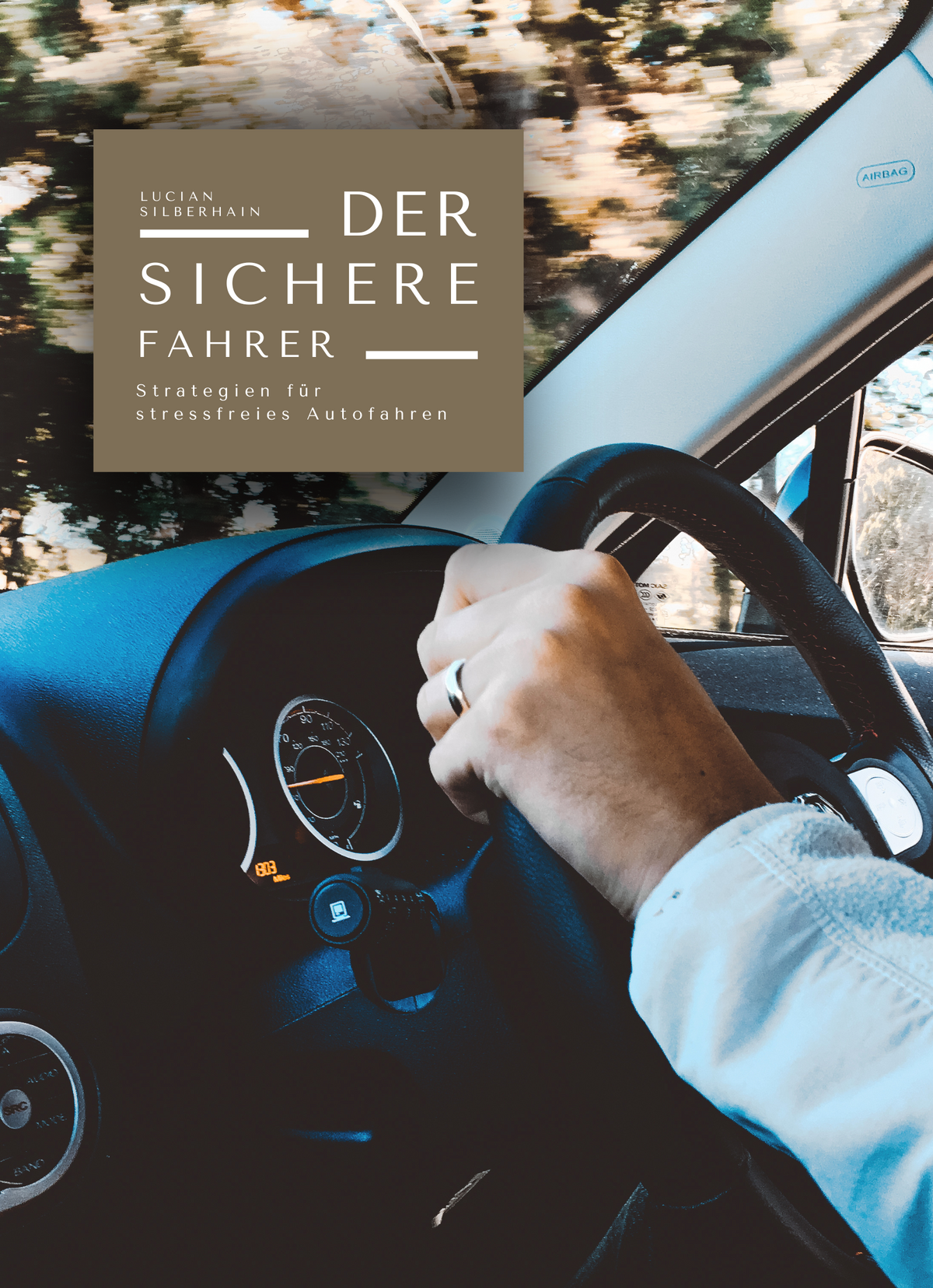 Der sichere Fahrer