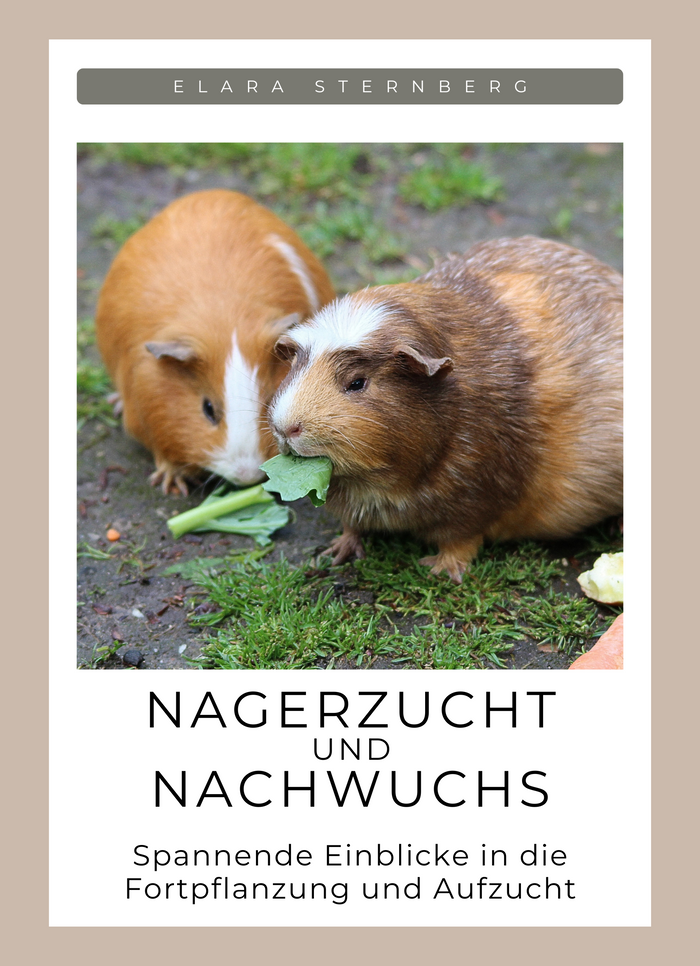 Nagerzucht und Nachwuchs