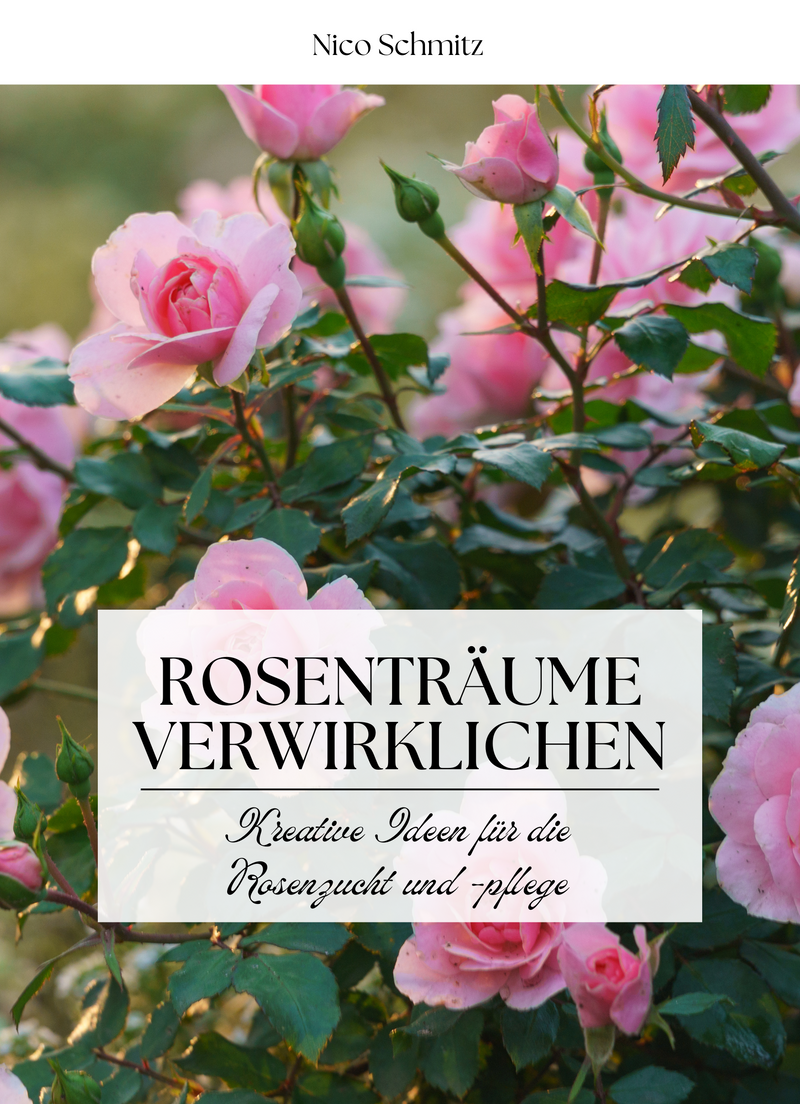 Rosenträume verwirklichen