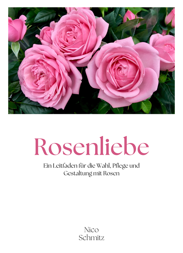 Rosenliebe