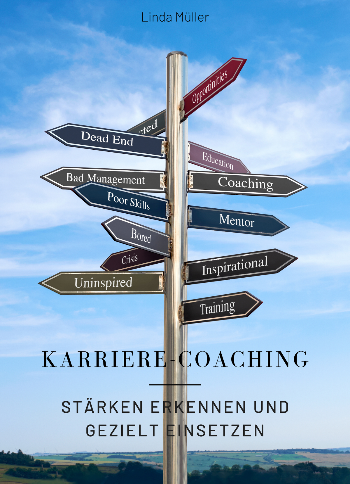 Karriere-Coaching