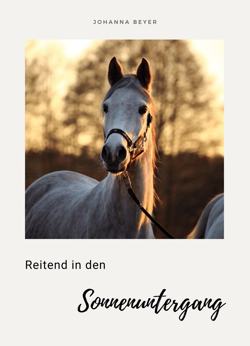 Reitend in den Sonnenuntergang