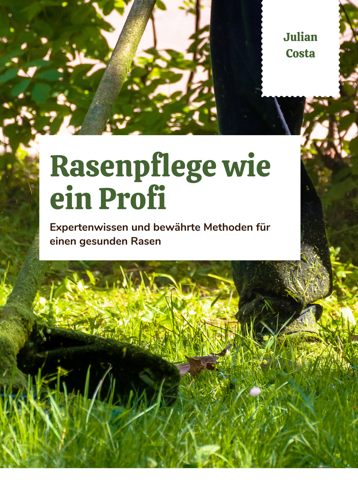 Rasenpflege wie ein Profi