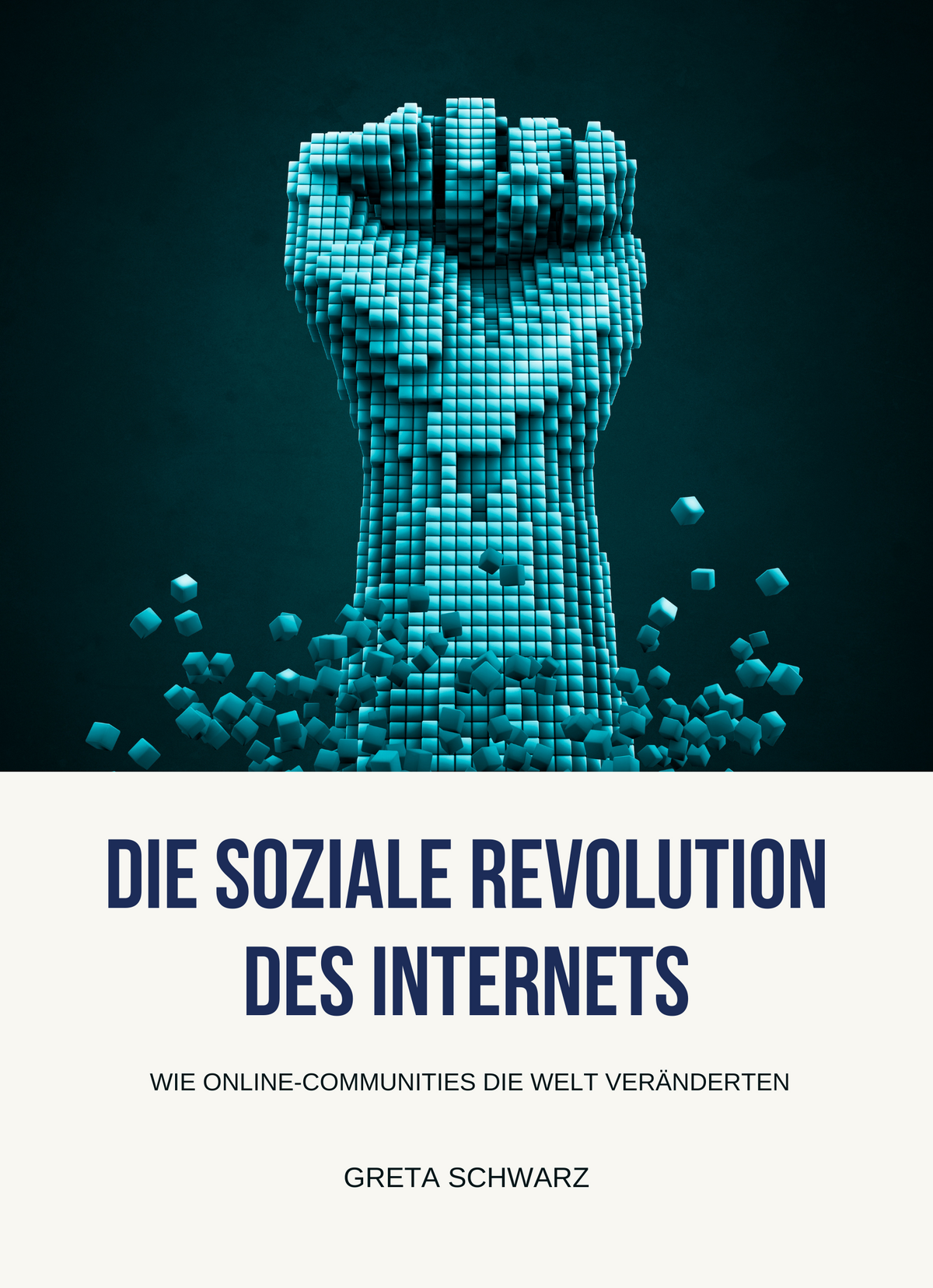 Die soziale Revolution des Internets